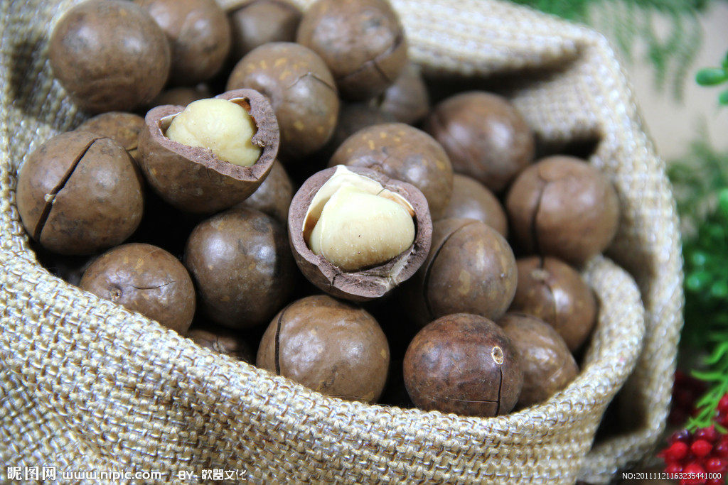 夏威夷果烘干工艺